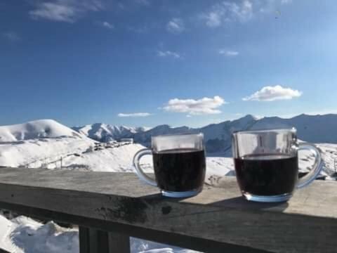 Gudauri Ski Studio Zewnętrze zdjęcie